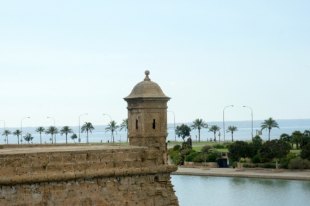 Palma de Maljorka