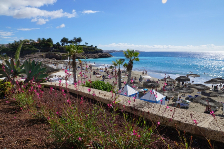 Tenerife - mūžīgā pavasara sala