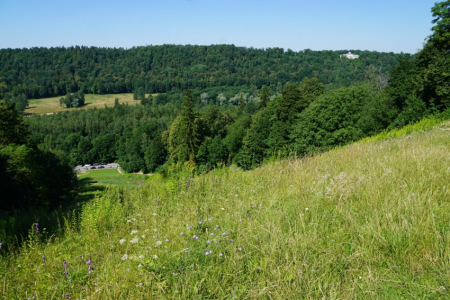 Sigulda, Tūraida. Atkalredzēšanās