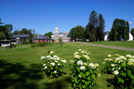 Sigulda, Tūraida. Atkalredzēšanās