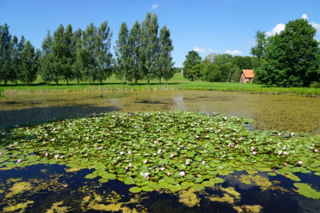 Sigulda, Tūraida. Atkalredzēšanās