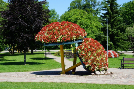 Sigulda, Tūraida. Atkalredzēšanās