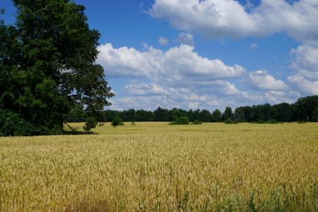 Sigulda, Tūraida. Atkalredzēšanās