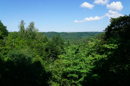 Sigulda, Tūraida. Atkalredzēšanās
