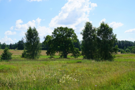 Sigulda, Tūraida. Atkalredzēšanās