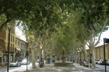 Palmas ielās