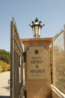 Palma de Maljorkas coetoksnis