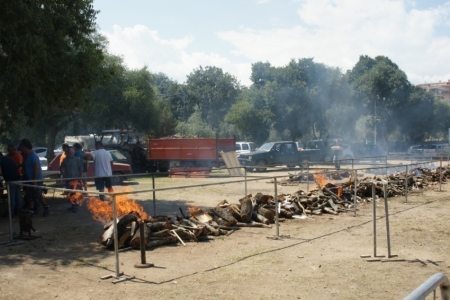 Gatavošanās kazas gaļas festivālam