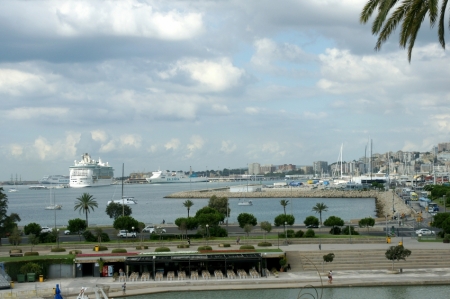 Palmas osta