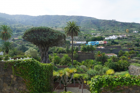 Tenerife - mūžīgā pavasara sala