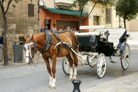 Palma de Maljorka. Kariete gaida