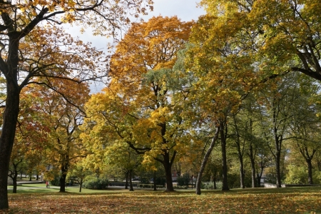 Rudens dabā