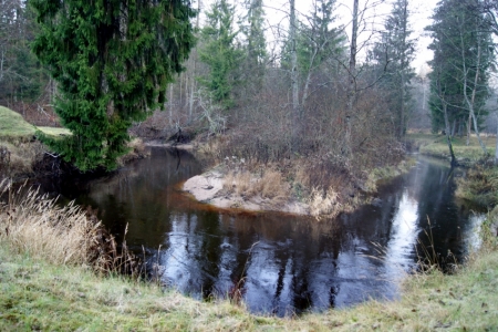 Līkumotā Zvirgzde