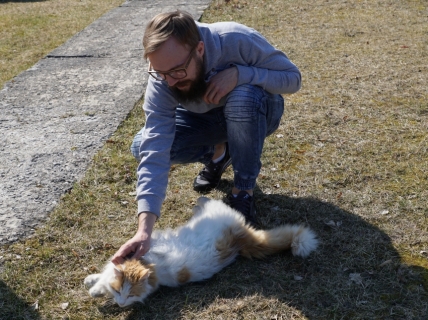 Nedēļas nogale 