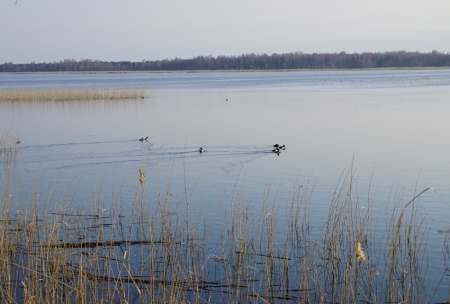 Kaņiera ezers