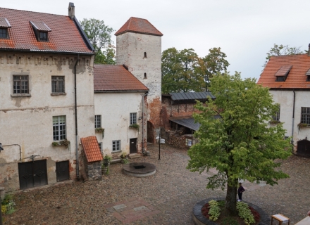 Dundagas pils pagalms